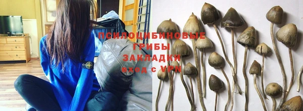 дурь Арсеньев