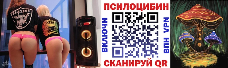 Купить где  Елабуга  Псилоцибиновые грибы Magic Shrooms 