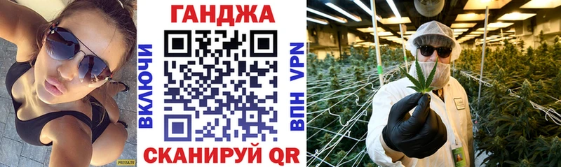 Бошки марихуана план  Купить  Елабуга 